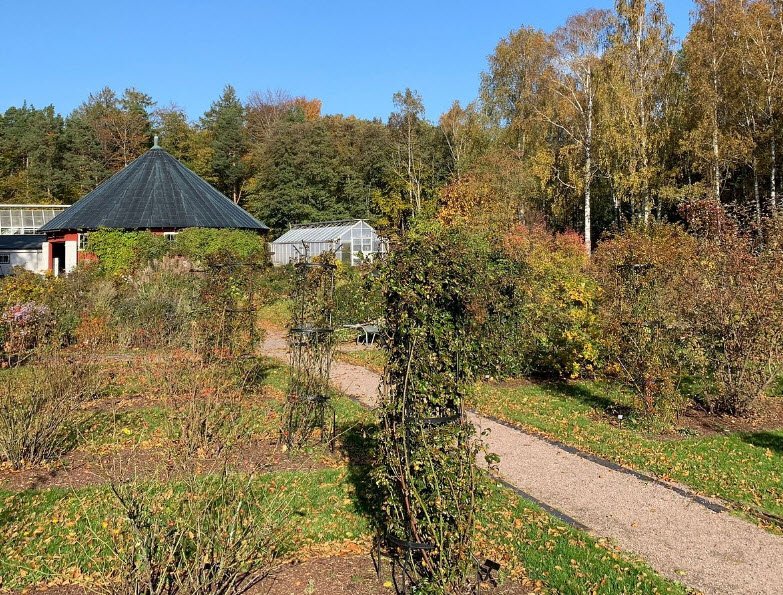 Natural History Museum and Botanical Garden, University of Agder, Norway